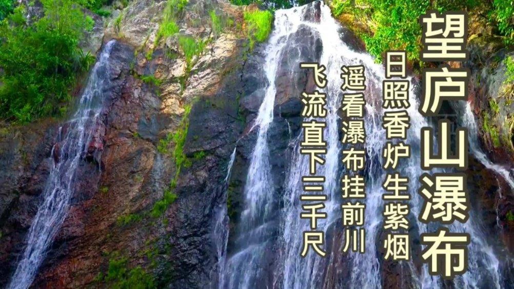 独步竹林